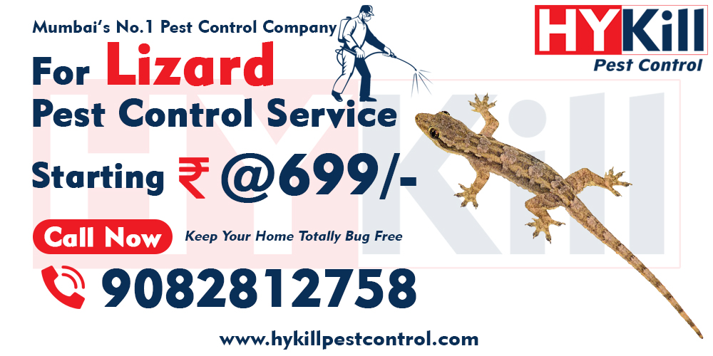 Lizard Pest Control